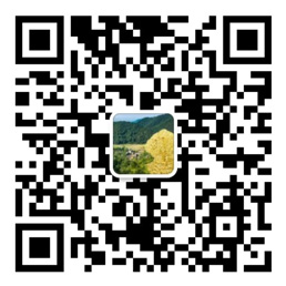 彩神VI在线官网登录